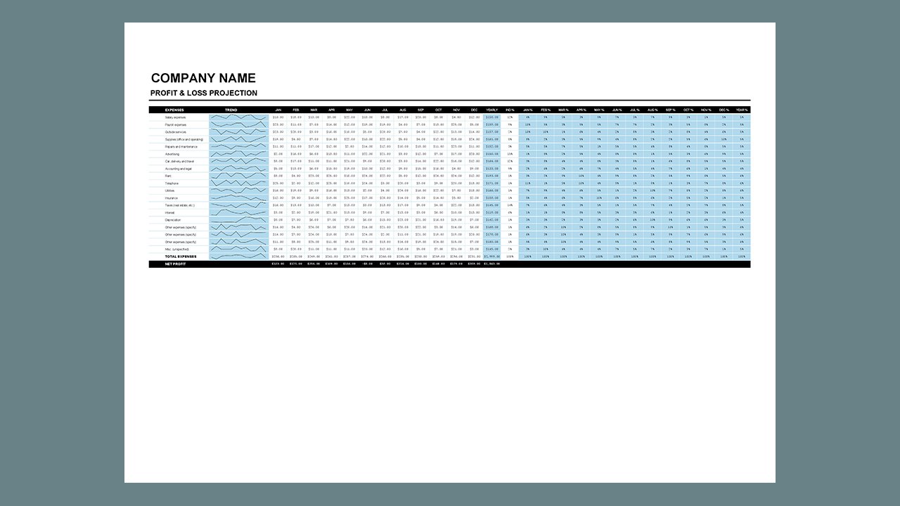 Profit and loss income statement - Excel Templates Free Download