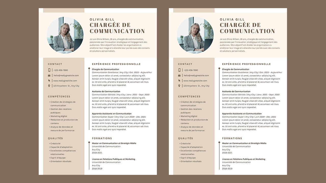 CV Français Professionnel Marron Simple – CV Templates Free Download