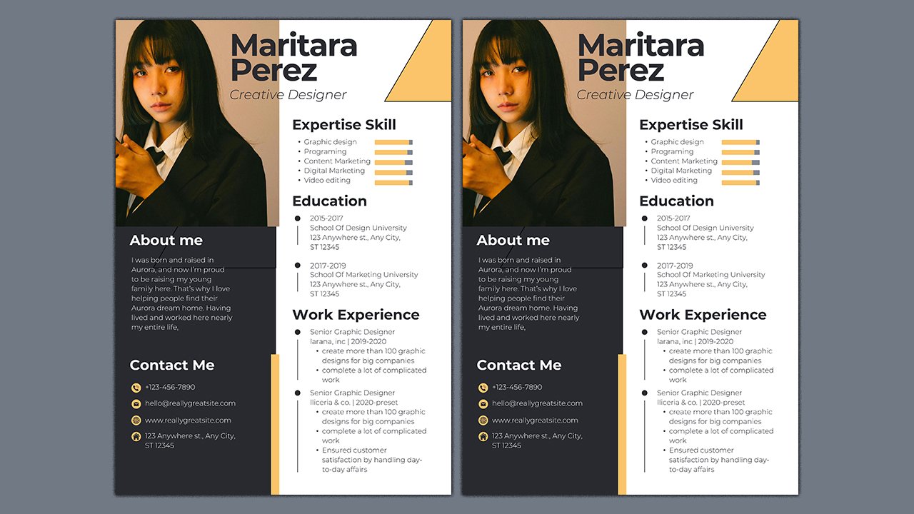 Professional CV Resume – CV Templates Free Download